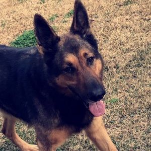 Meet your Posher, Eva